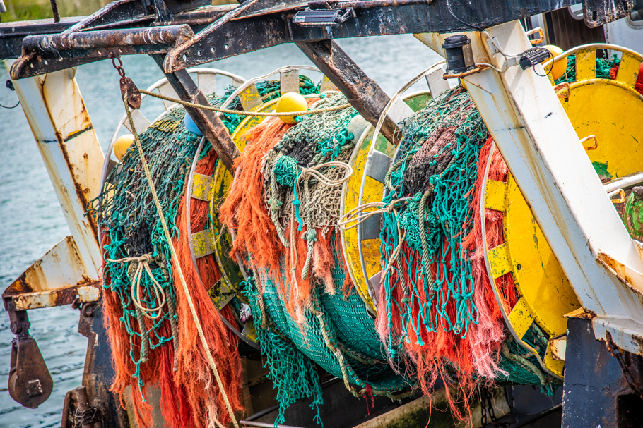 2021 07 29 web (35).jpg