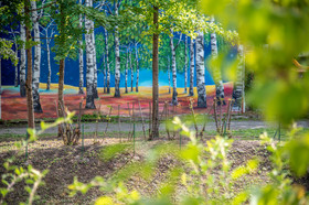 2019 08 12 web (12).jpg