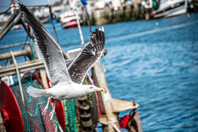 2021 07 29 web (29).jpg