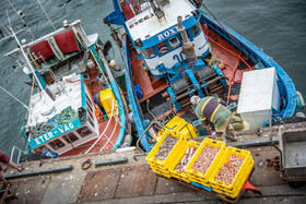 2021 07 29 web (22).jpg