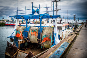 2021 07 29 web (9).jpg