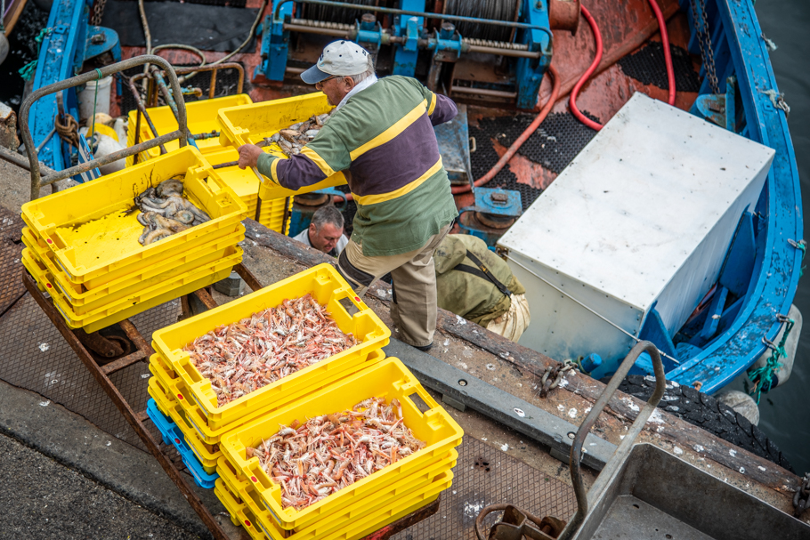 2021 07 29 web (21).jpg