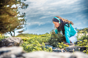 2024 08 18 web (2).jpg