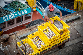 2021 07 29 web (23).jpg