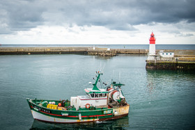 2021 07 29 web (10).jpg