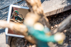 2020 04 web (28).jpg