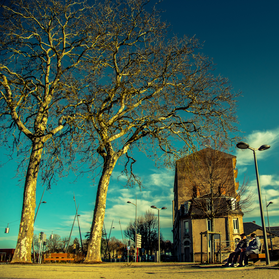 2017 12 28 (2) web.jpg