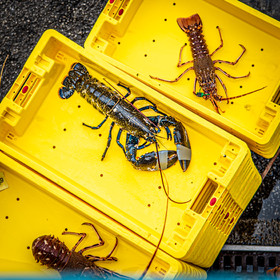 2021 07 29 web (12).jpg