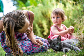 photographe portrait lifestyle family à Bressuire, Parthenay, Niort, Les Herbiers, Cholet . déplacements en Deux Sèvres, Vendée, Maine et Loire, et sur toute la france.
