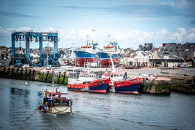 2021 07 29 web (1).jpg