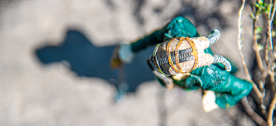 2020 04 web (30).jpg