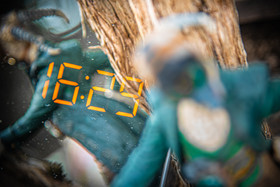 2020 04 web (36).jpg